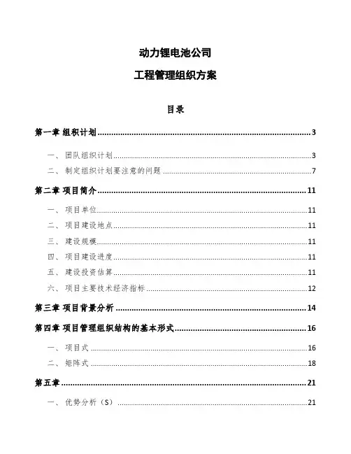 动力锂电池公司工程管理组织方案