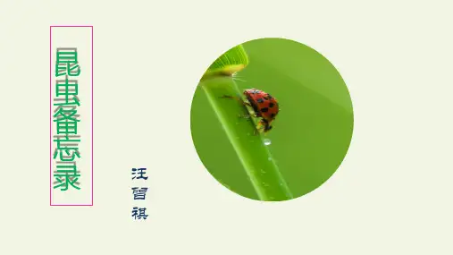 部编版三年级语文下册《昆虫备忘录》