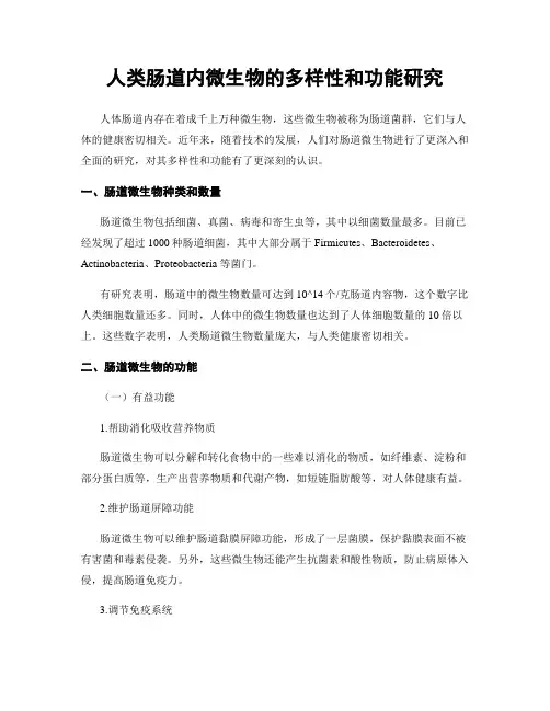 人类肠道内微生物的多样性和功能研究