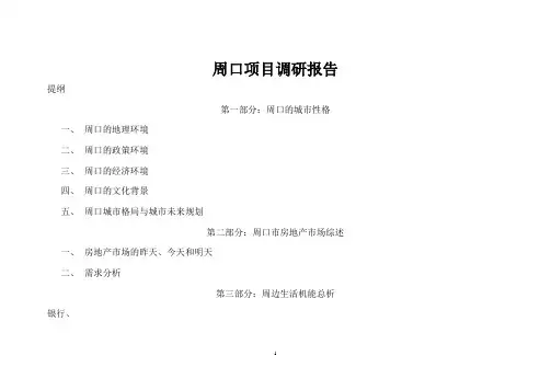 周口市调报告