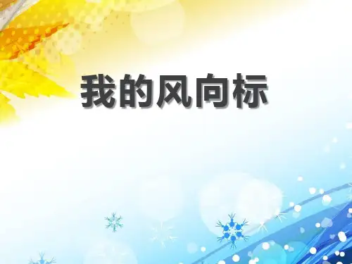 《我的风向标》PPT-完美版