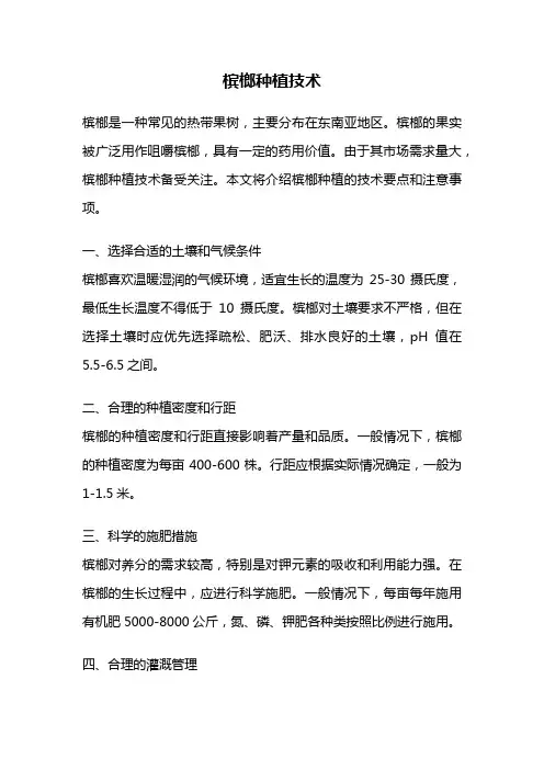 槟榔种植技术