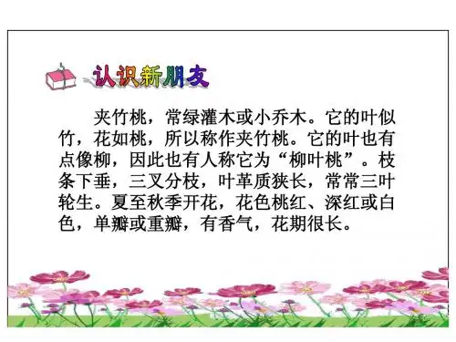 19课夹竹桃