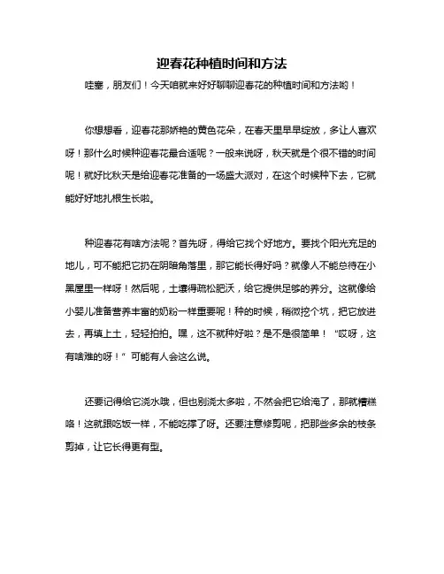 迎春花种植时间和方法