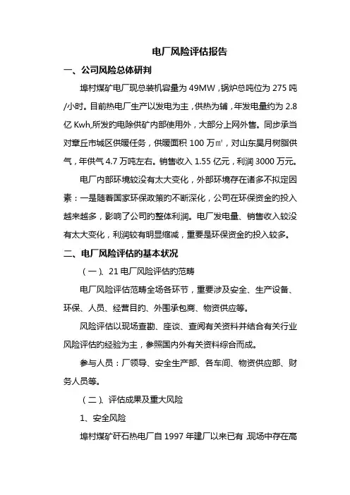电厂风险评估报告