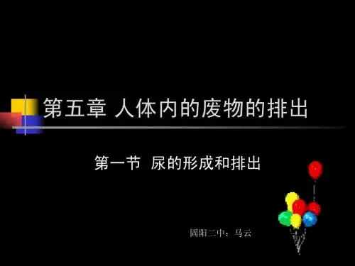 课件尿的形成和排出1