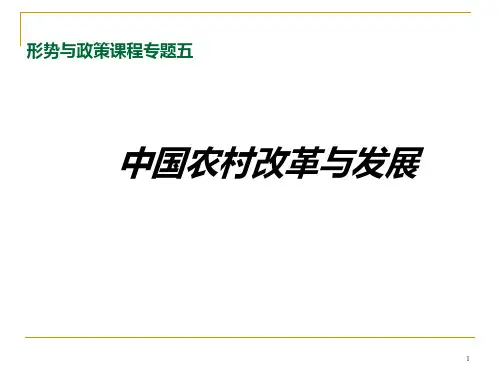 中国农村改革和发展PPT课件