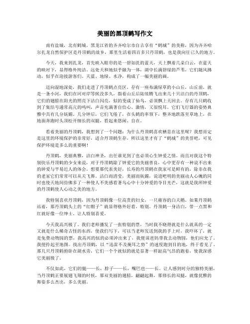 美丽的黑顶鹤写作文