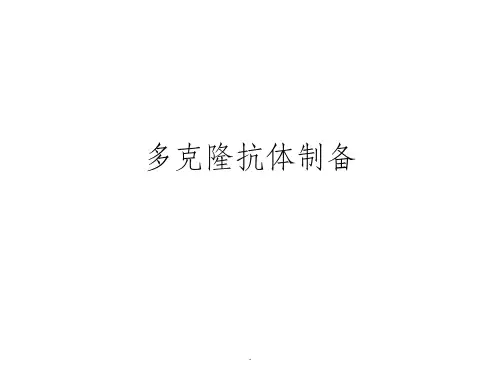 多克隆抗体制备课件