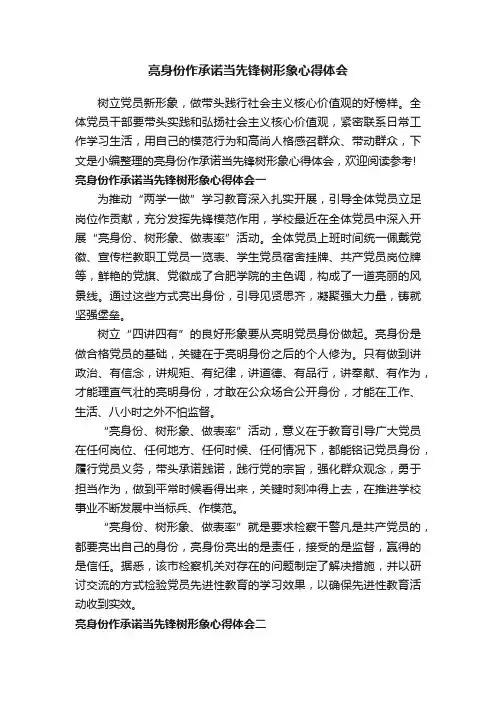 亮身份作承诺当先锋树形象心得体会