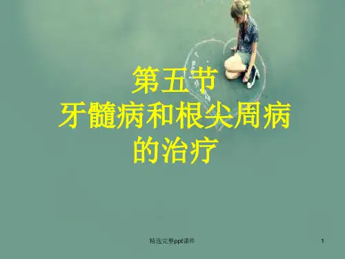 《牙体牙髓病治疗》PPT课件