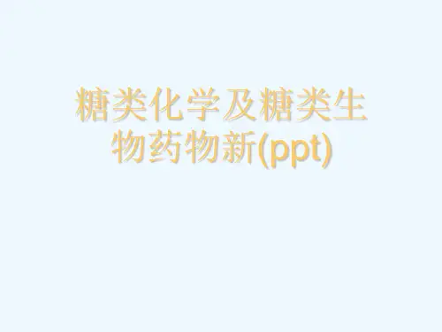 糖类化学及糖类生物药物新(ppt)