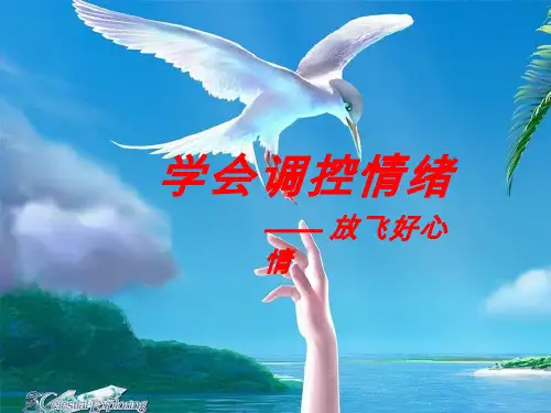 体育与健康内堂课《学会调控情绪》课件设计