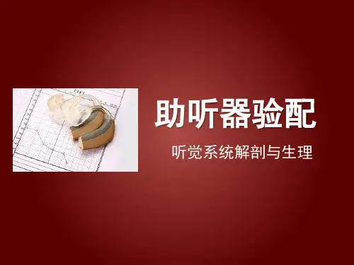 听觉系统解剖与生理.pptx