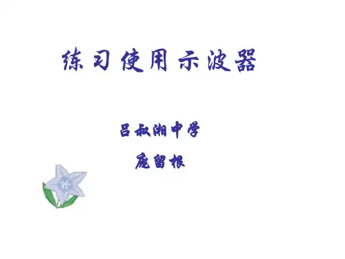 高考物理练习使用示波器