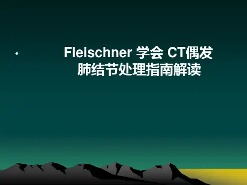 肺偶发结节处理指南