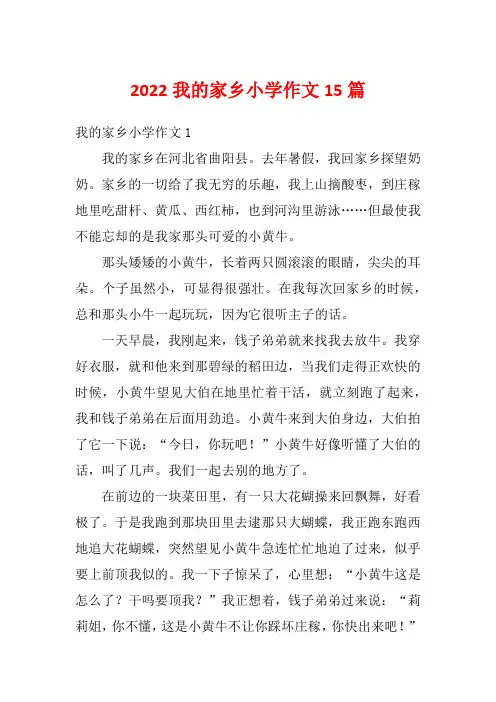 2022我的家乡小学作文15篇