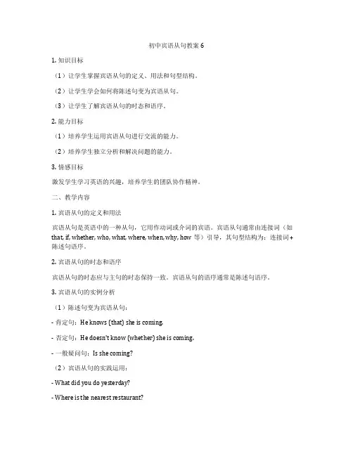 初中宾语从句教案6