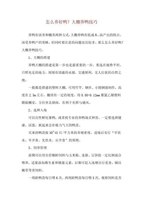 怎么养好鸭？大棚养鸭技巧