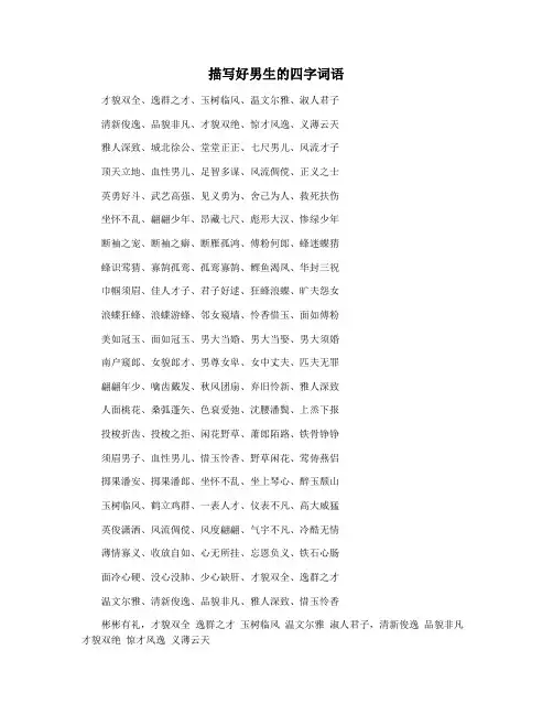 描写好男生的四字词语