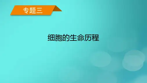 老高考适用2023版高考生物二轮总复习专题3细胞的生命历程第3讲细胞的分化衰老凋亡和癌变课件