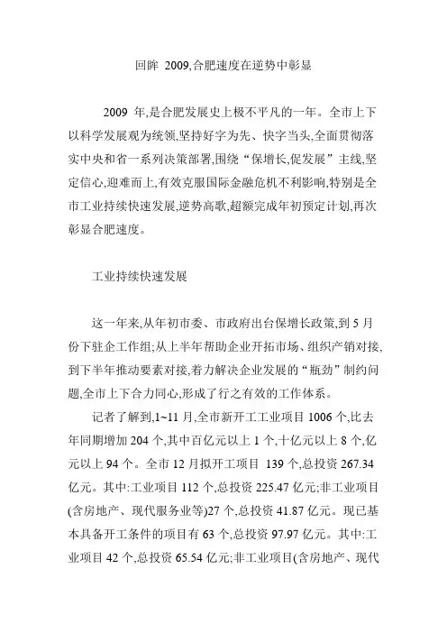 回眸 2009,合肥速度在逆势中彰显