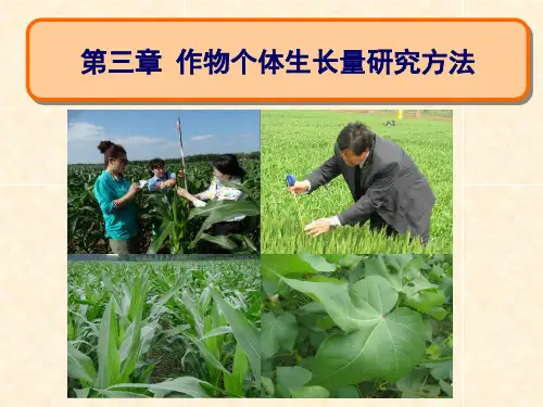 第三章 作物个体生长量研究法
