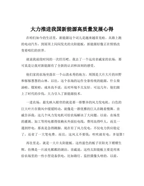 大力推进我国新能源高质量发展心得