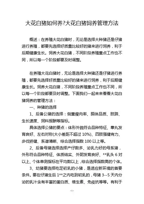 大花白猪如何养-大花白猪饲养管理方法