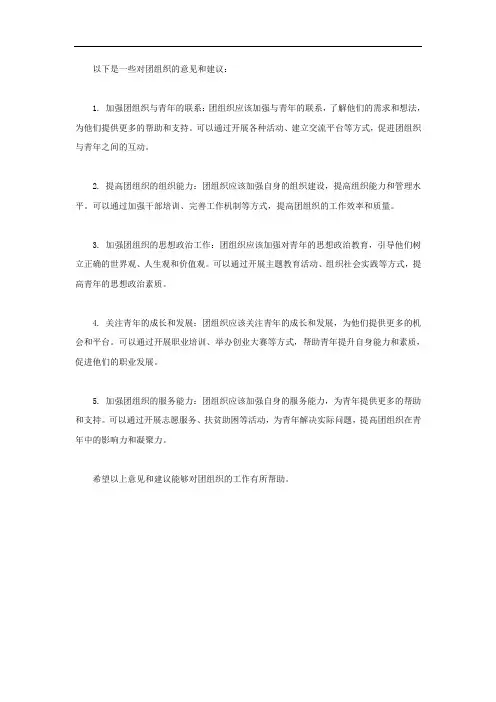 对团组织的意见建议