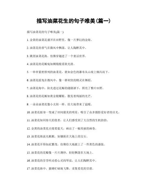 描写油菜花生的句子唯美(精选两篇)