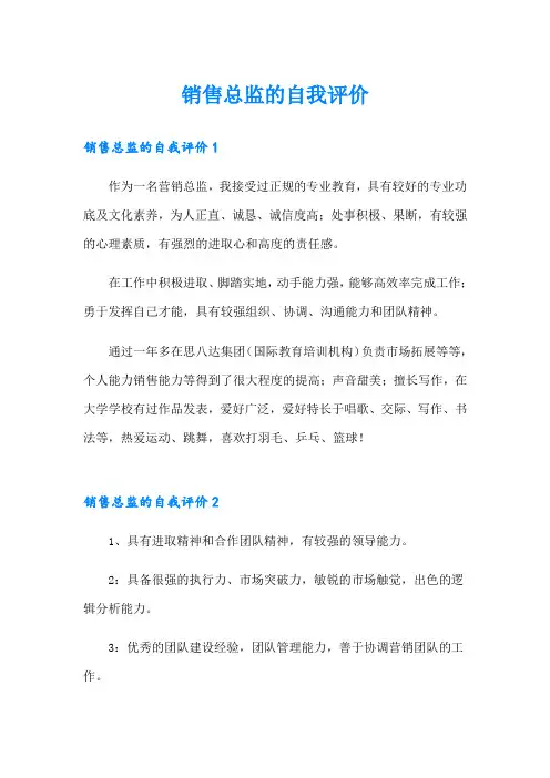 销售总监的自我评价