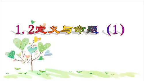 初中数学八年级上册《1.2定义与命题》PPT课件 (5)