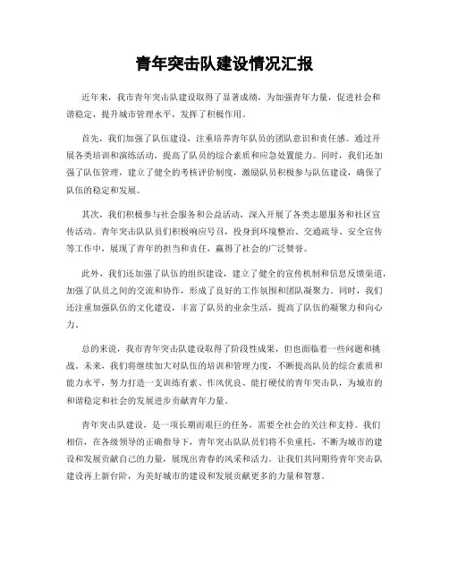 青年突击队建设情况汇报