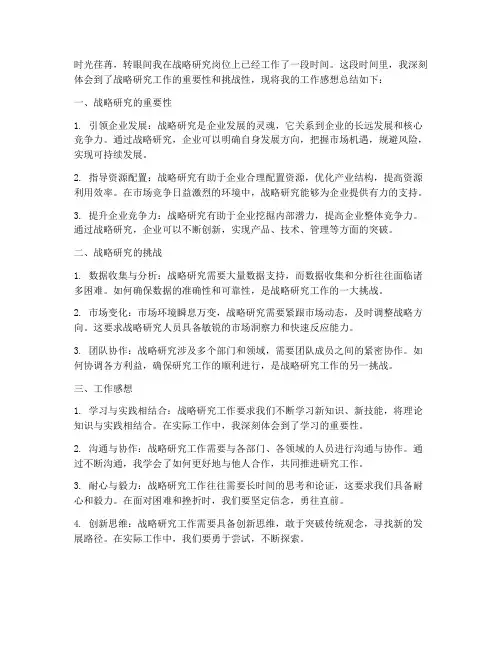 战略研究_工作感想总结