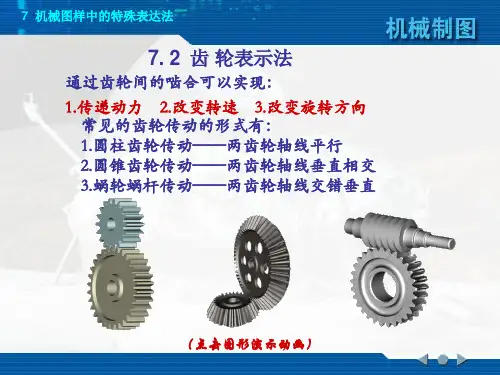 《机械制图》课件——齿轮表示法