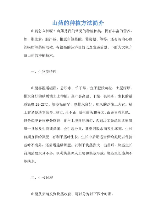 山药的种植方法简介