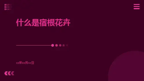 什么是宿根花卉