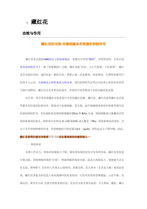 藏红花.