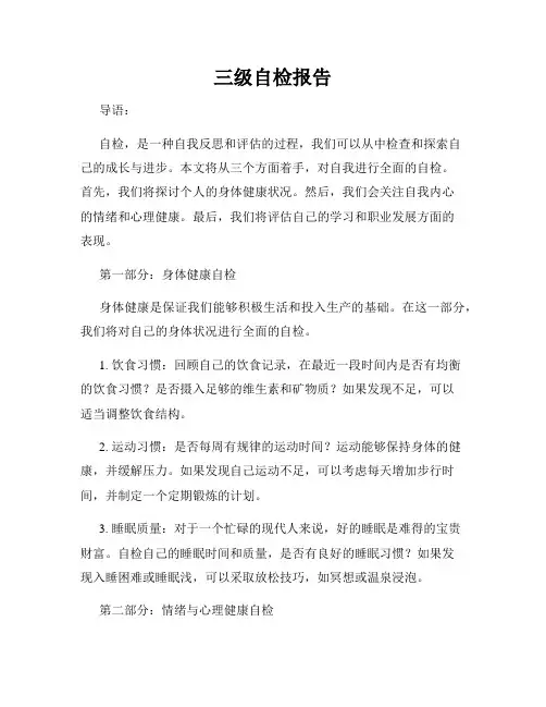 三级自检报告