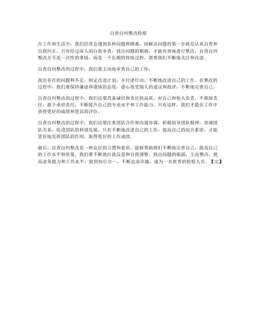 自查自纠整改检察