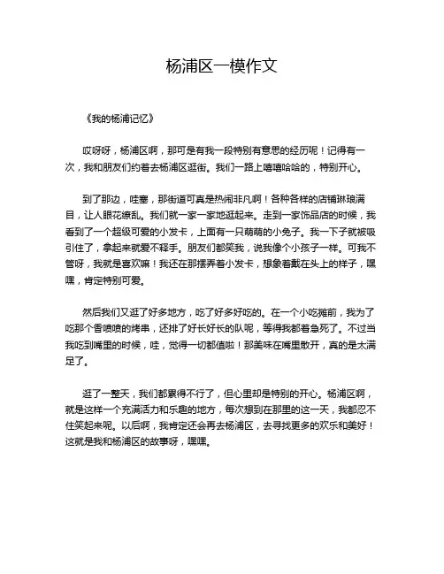 杨浦区一模作文