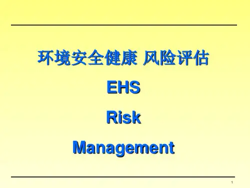 环境健康安全风险评估