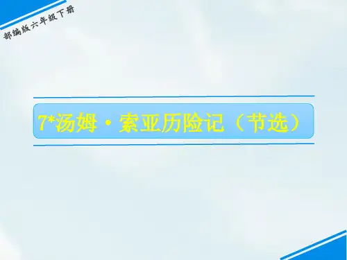 2020年最新部编本六年级语文下册课件7汤姆索亚历险记(节选)(共14张PPT)优秀公开课精品课件