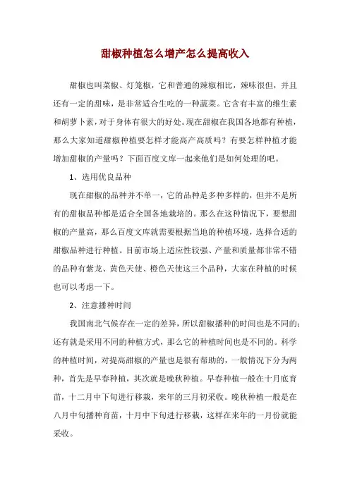 甜椒种植怎么增产怎么提高收入
