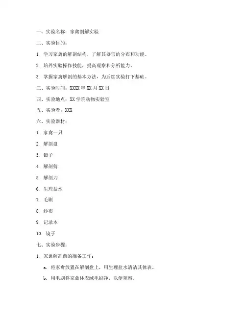 家禽剖解实验报告模板
