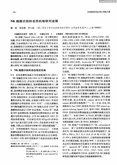NK细胞识别和杀伤机制研究进展
