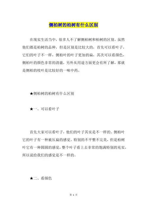 侧柏树的柏树有什么区别