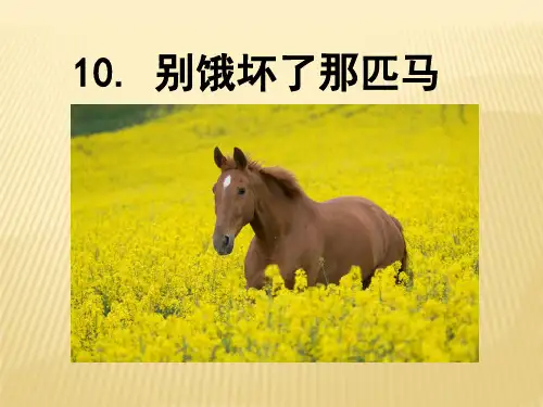 《别饿坏了那匹马》精品课件