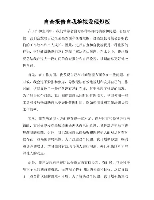 自查报告自我检视发现短板
